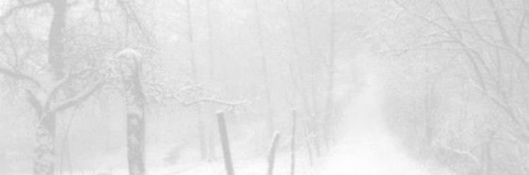 𐙚 banner