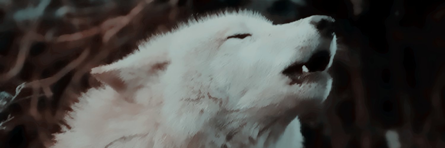 𝐀𝐭𝐭𝐢𝐜𝐮𝐬 𝐁𝐮𝐥𝐬𝐭𝐫𝐨𝐝𝐞. banner