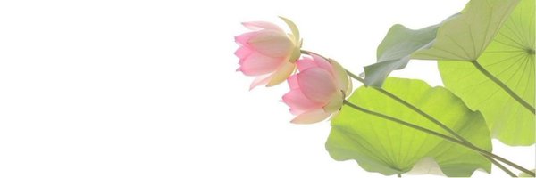 lazuremi Profile Banner