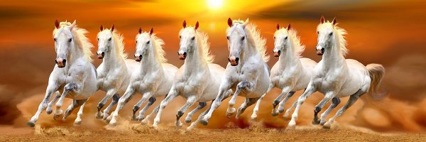 PintuFauzdar_ Profile Banner