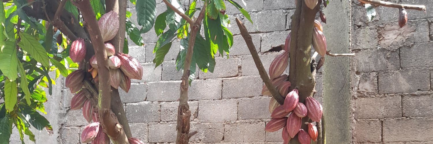 maxkarole's profile banner image