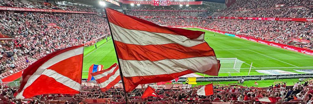 COITOS Y ROCES banner