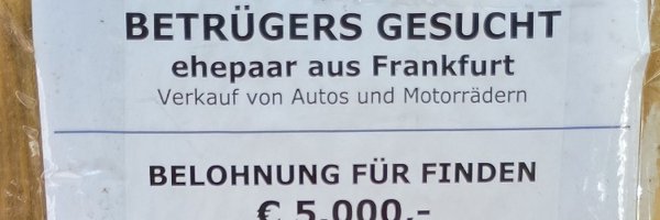 pulsus Profile Banner