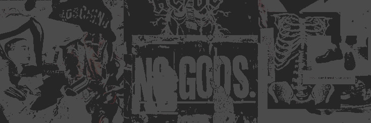 noirvalier's profile banner image