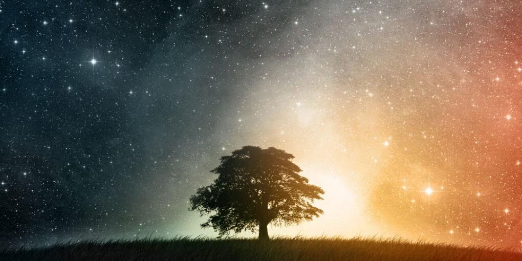 izzattarmizi's profile banner image
