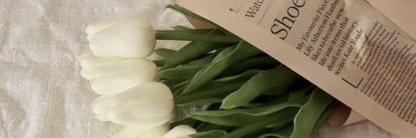 𝐍𝐞𝐩𝐭𝐮𝐧𝐞 banner