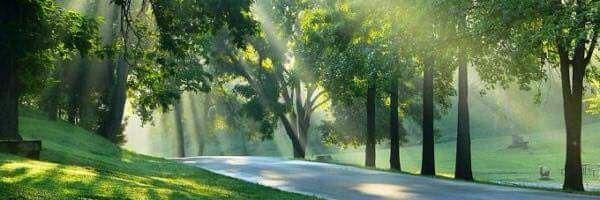 عبدالله محمّد السّيد banner