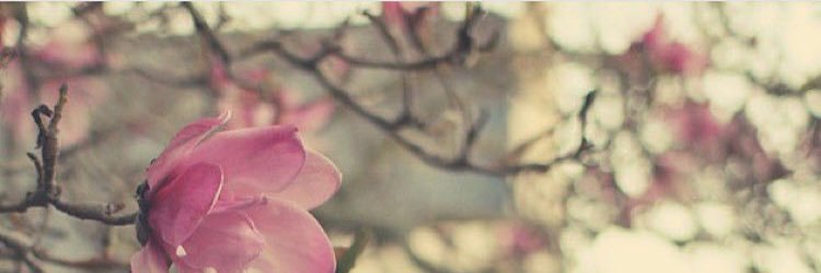 TahaniSoud's profile banner image