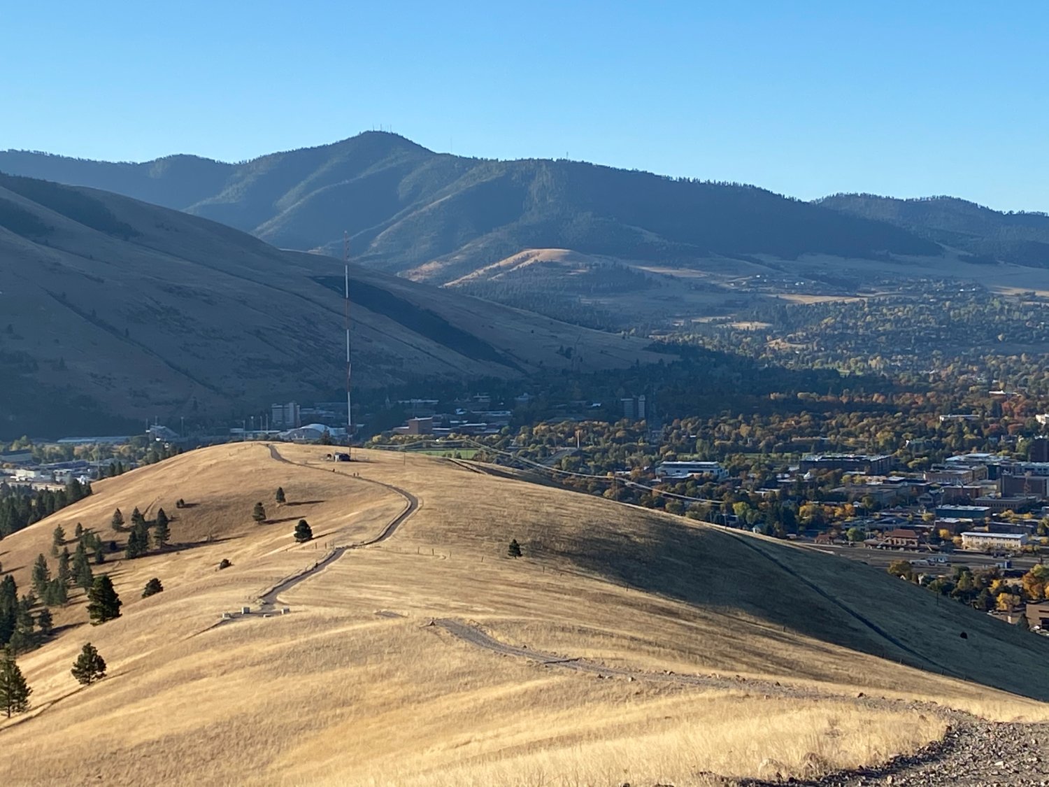 Sherry Devlin banner