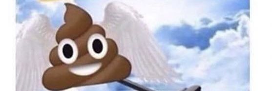 HolyShitThatSucks banner