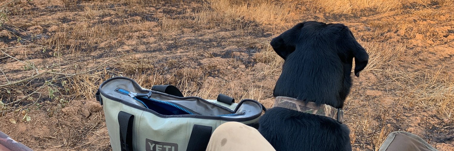 waylonlsmith's profile banner image