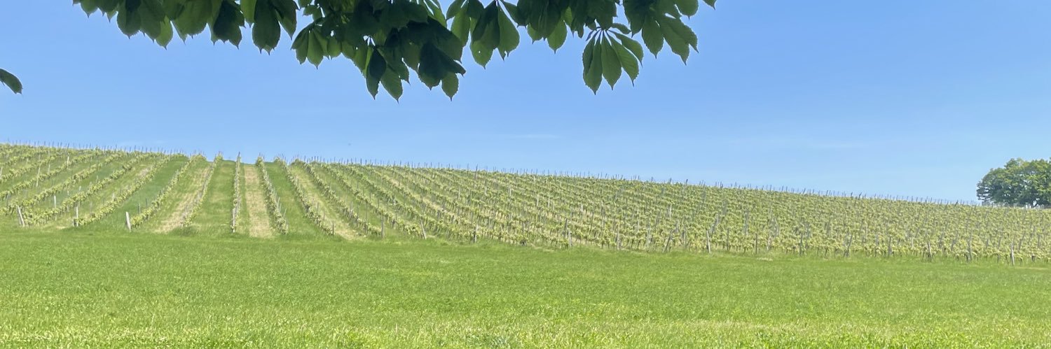 LamarTorrence's profile banner image