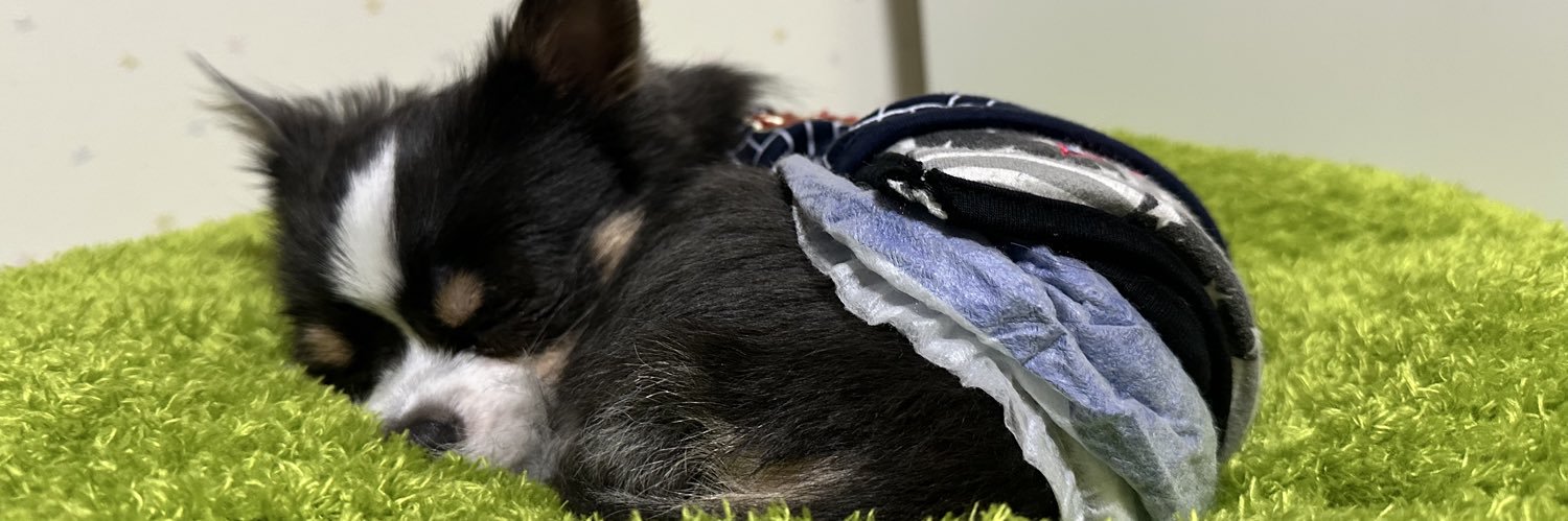 美月とあ🍓🐶【キミリセット】5/1本デビュー banner