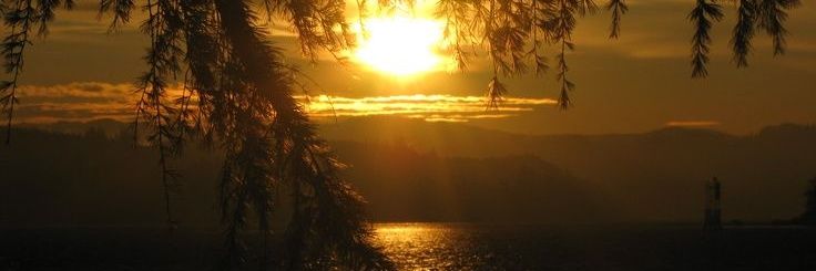 m. banner
