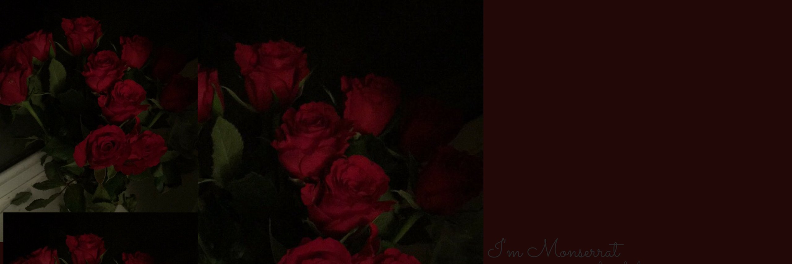 aukey23's profile banner image
