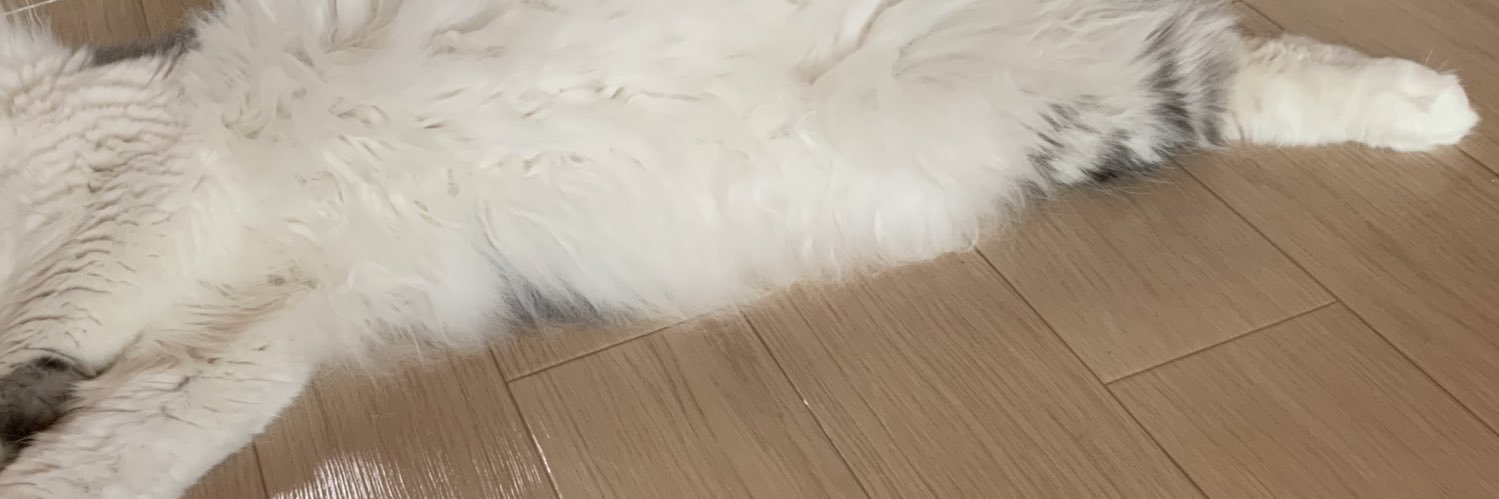 tadaikiteiru's profile banner image