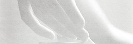 Liz banner