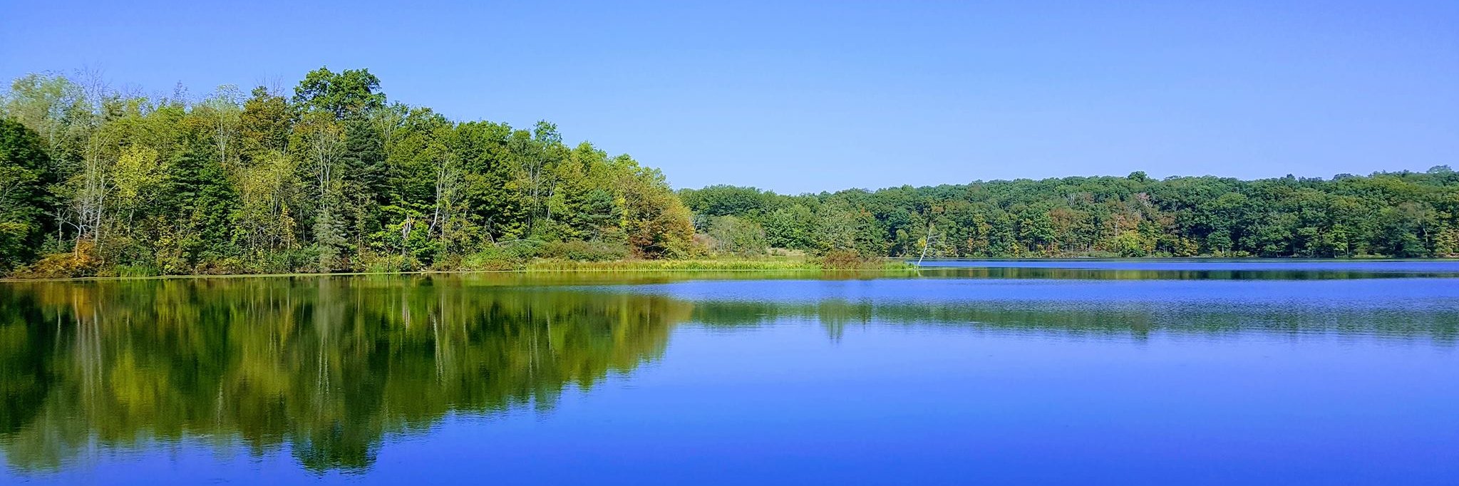 Jeff Grabmeier banner
