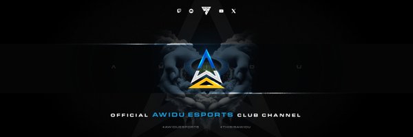 AwiduEsports Profile Banner