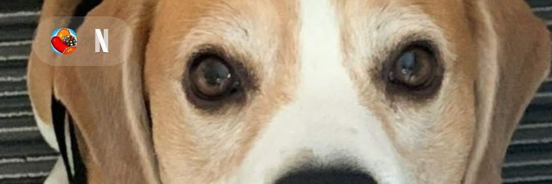 Kenneth Young banner