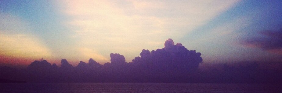 Malu Kirschbaum banner