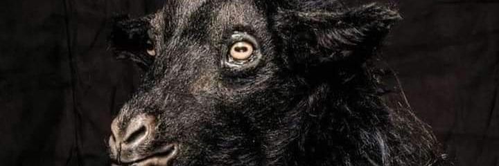 Morconidas's profile banner image