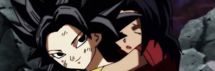 Caulifla_DB_'s profile banner image