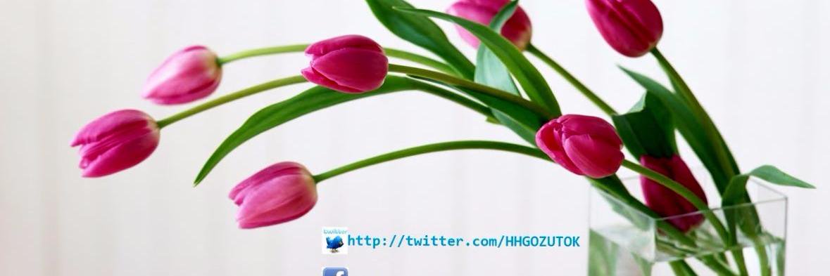 HHGOZUTOK's profile banner image