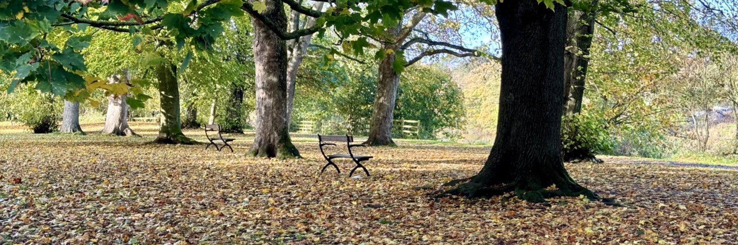 MacCallumHilary's profile banner image