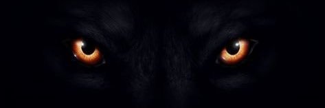 Rez1317752's profile banner image