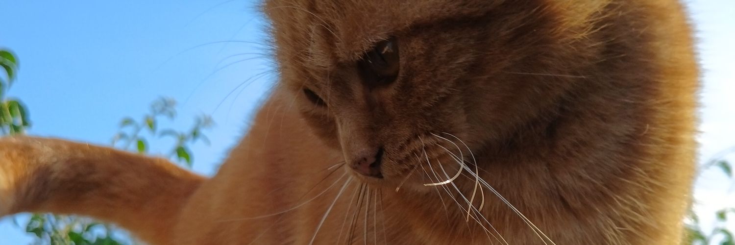 luuuuuag's profile banner image