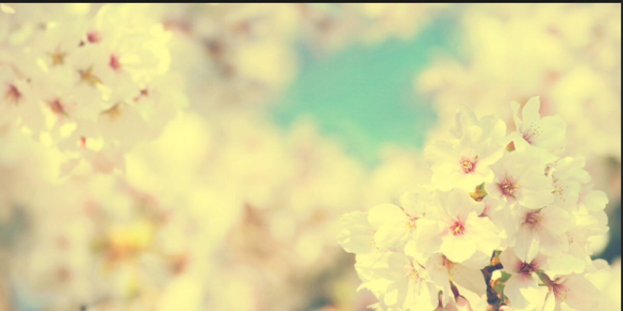 viveeree's profile banner image