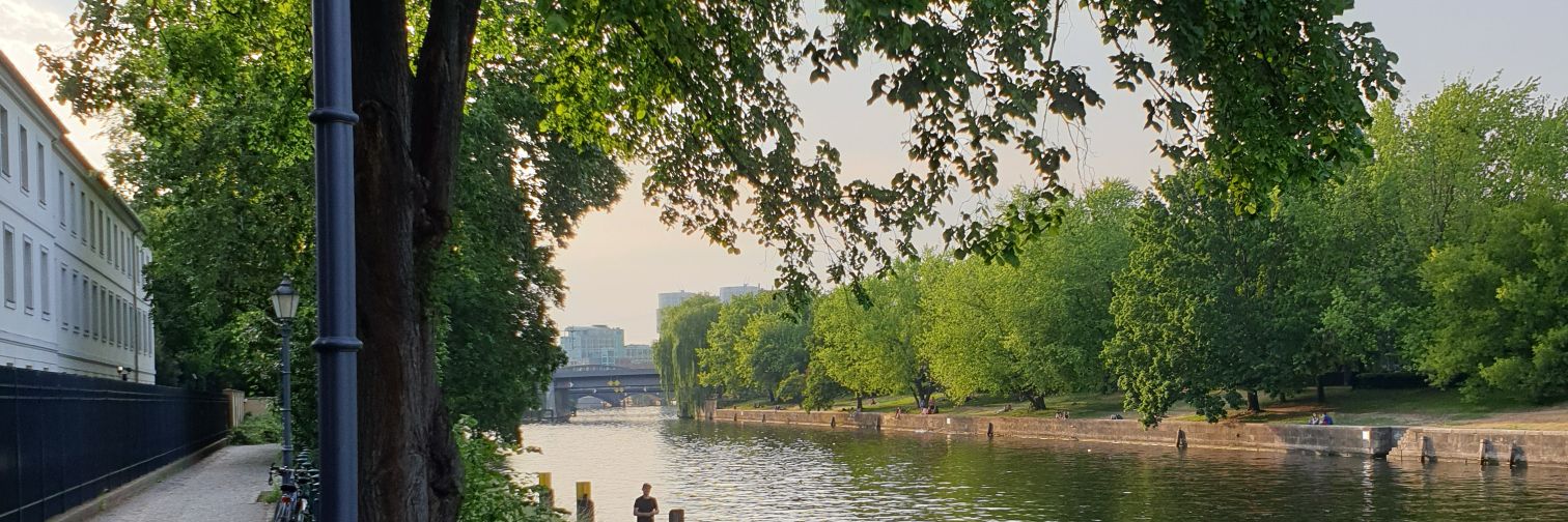 BuchbergerB's profile banner image