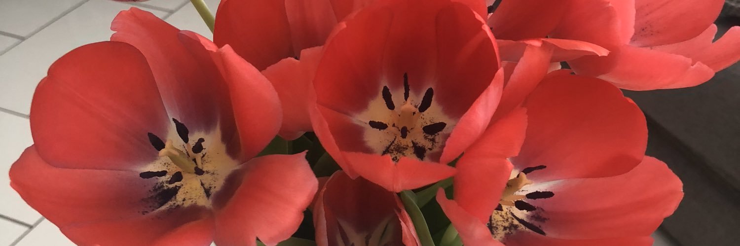 MxcnMaria's profile banner image