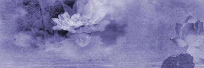 oliviacatface's profile banner image
