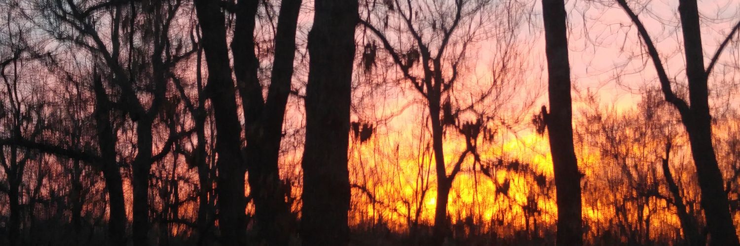 fireraven451's profile banner image
