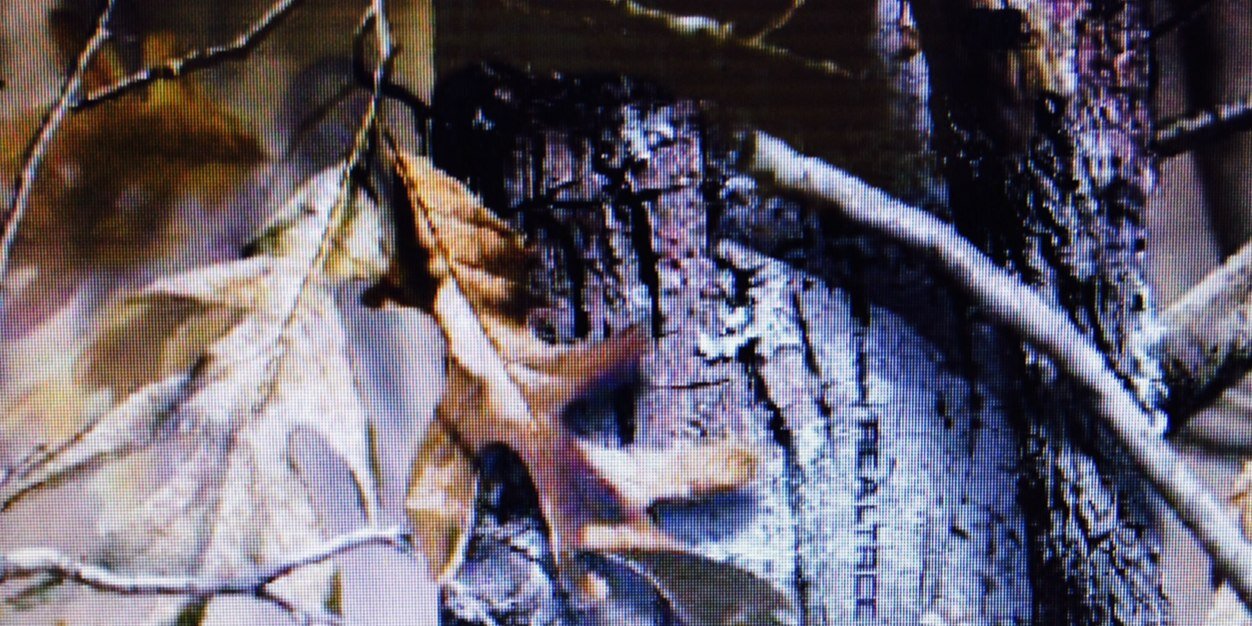 db339800's profile banner image