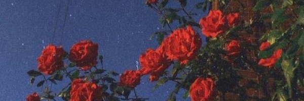_S2RoseS2_ Profile Banner