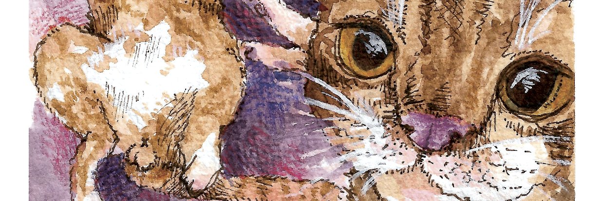 sasamycin_'s profile banner image