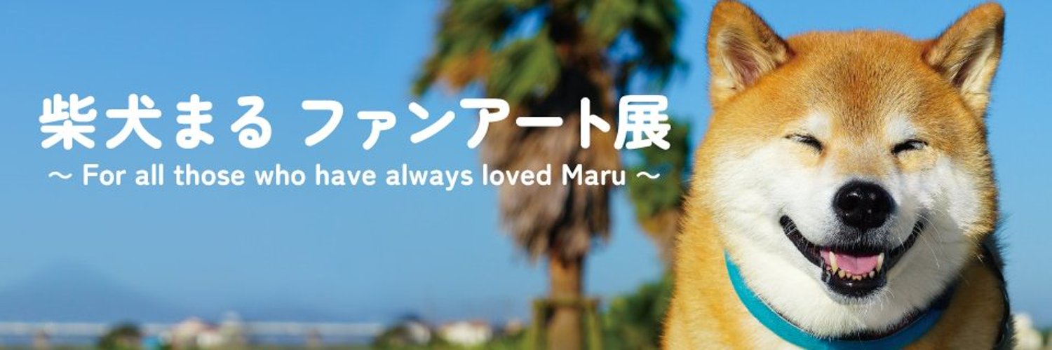 MaruTaro Coin CTO banner