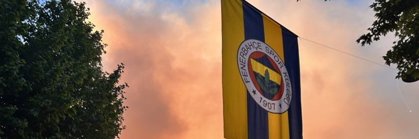 İso banner