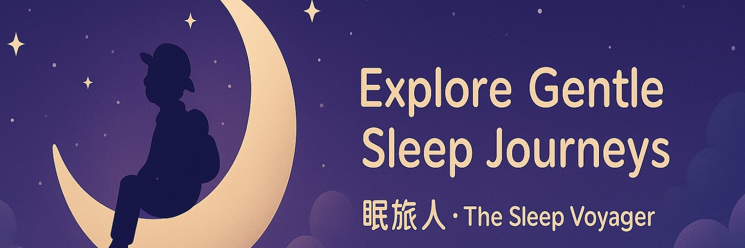 TheSleepVoyager's profile banner image