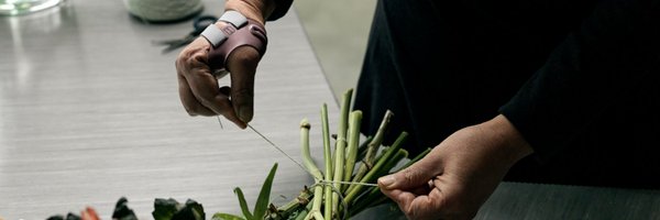 Pushbraces Profile Banner