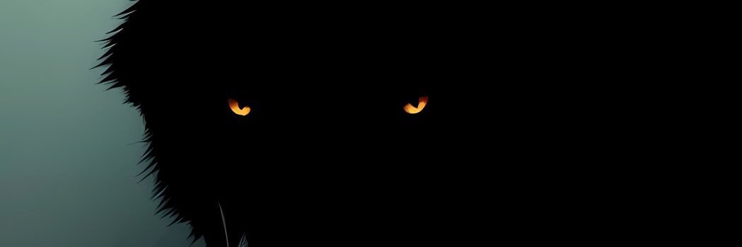 CLIPS-NEVER-SHOWN banner