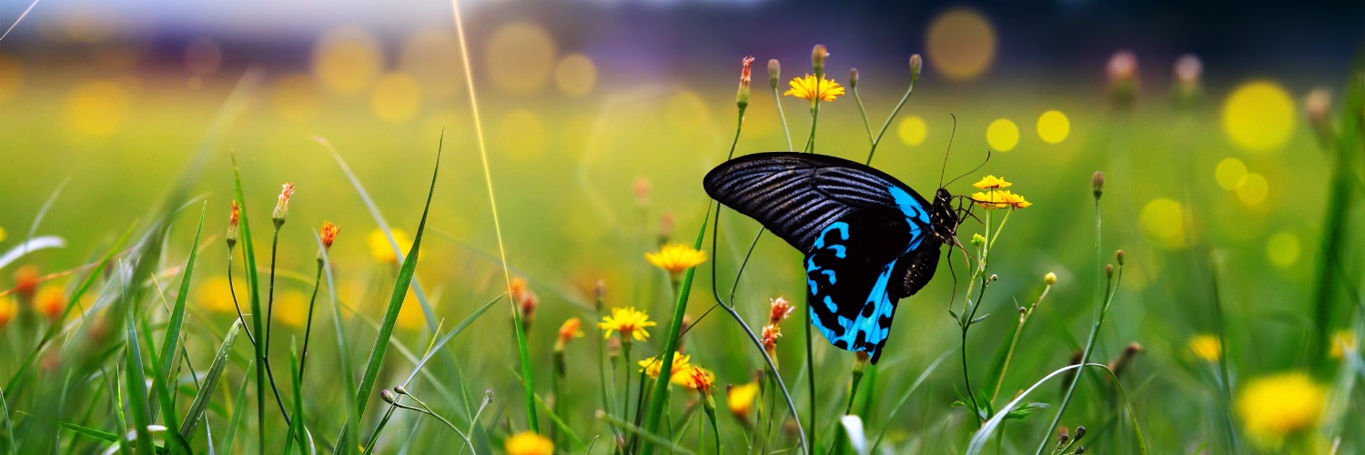 TBI Communications banner