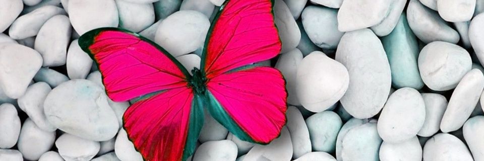 viryicampillo's profile banner image