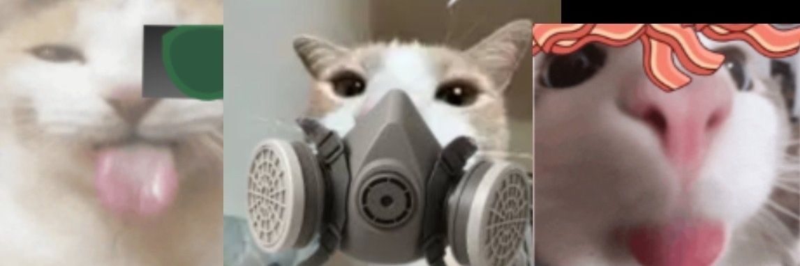 demibacon private banner