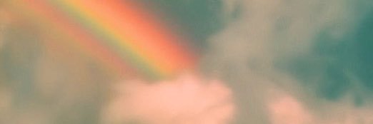 whimsabug's profile banner image