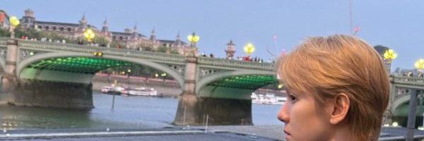 56pups Profile Banner