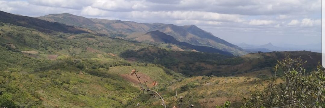 Supa Mandiwanzira banner